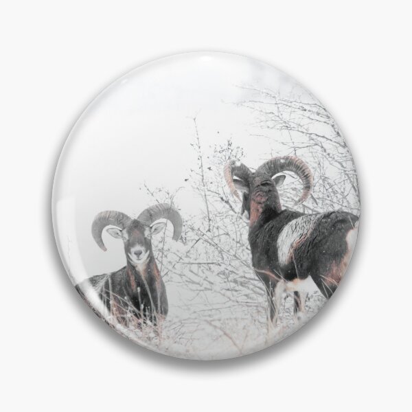 Item preview, Mouflon Rams in the Snow designed and sold by gabormedve.