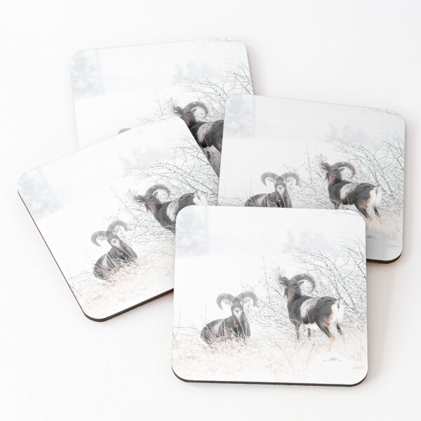 Item preview, Mouflon Rams in the Snow designed and sold by Medve Photography & Design.