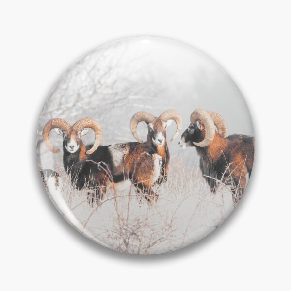 Item preview, Three Mouflon Rams in Winter designed and sold by gabormedve.