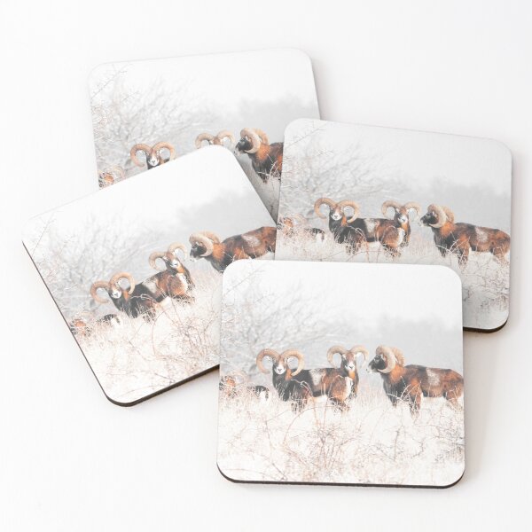 Item preview, Three Mouflon Rams in Winter designed and sold by Medve Photography & Design.