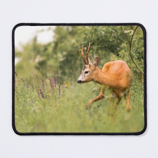 Item preview, Roe Buck Through the Summer Meadow designed and sold by gabormedve.