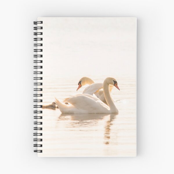 Item preview, Swan Family in Golden Light designed and sold by gabormedve.