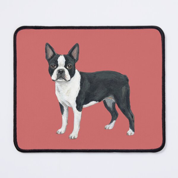 Item preview, The American Gentleman: Vintage Boston Terrier Canine Fine Art Print designed and sold by FreiherrPK.