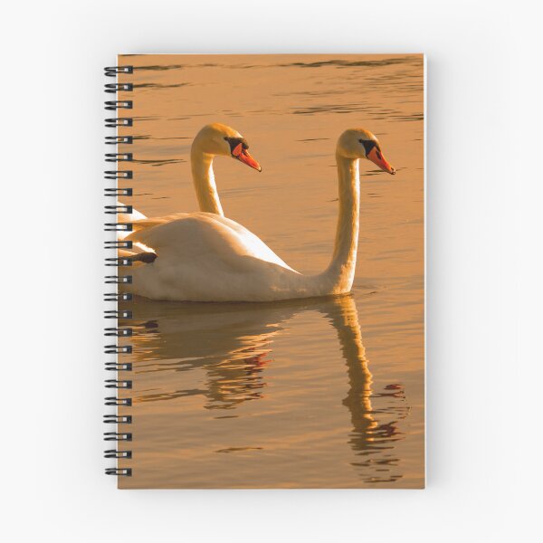 Item preview, Swan Family in Golden Water designed and sold by gabormedve.