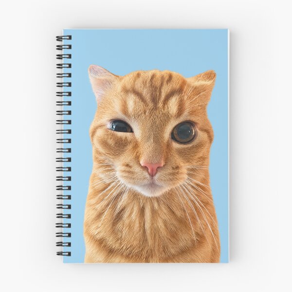 Item preview, Staring cat meme designed and sold by Chonk Borris.