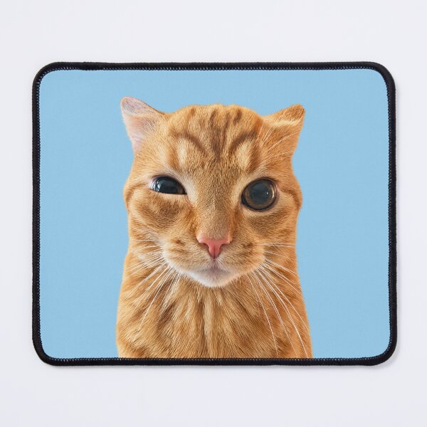 Item preview, Staring cat meme designed and sold by Chonk Borris.