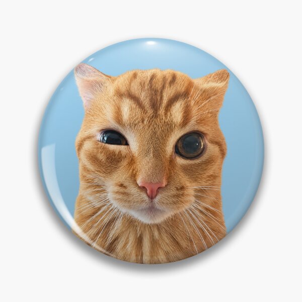 Item preview, Staring cat meme designed and sold by Chonk Borris.