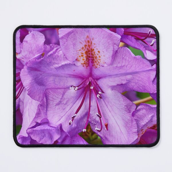 Item preview, Unmissable designed and sold by Eidetic Photos.
