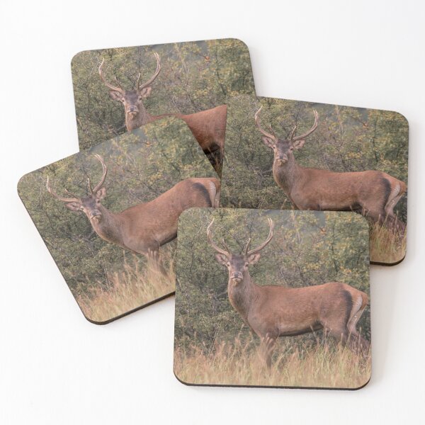 Item preview, Red Deer Stag in Autumn Woodland designed and sold by gabormedve.