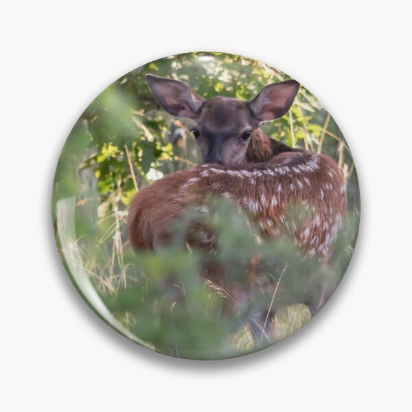 Item preview, Young Red Deer Looking Back designed and sold by gabormedve.
