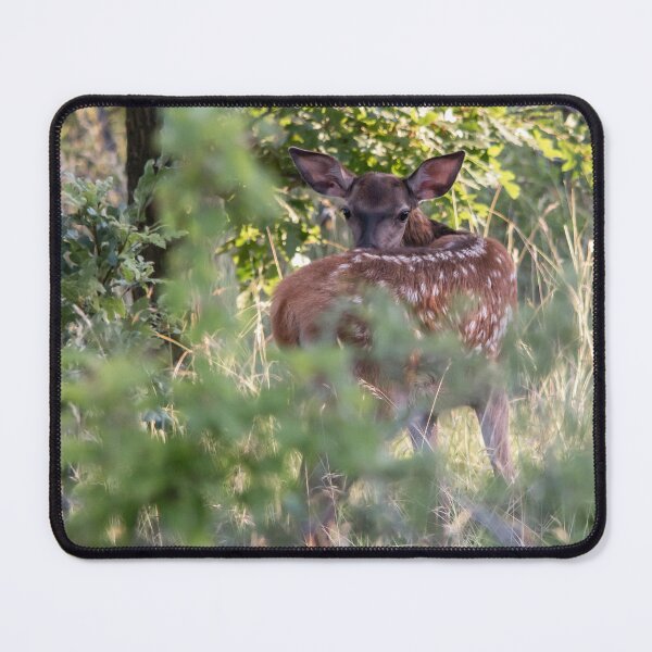 Item preview, Young Red Deer Looking Back designed and sold by gabormedve.