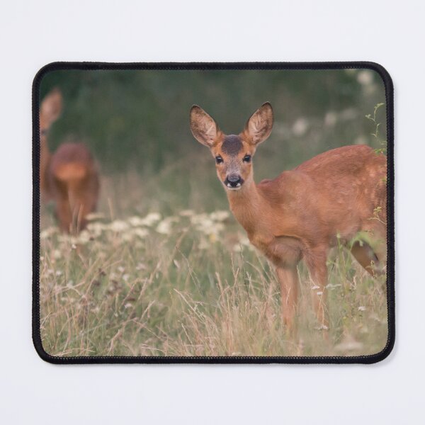 Item preview, Two Roe Deer in Summer Meadow. designed and sold by gabormedve.