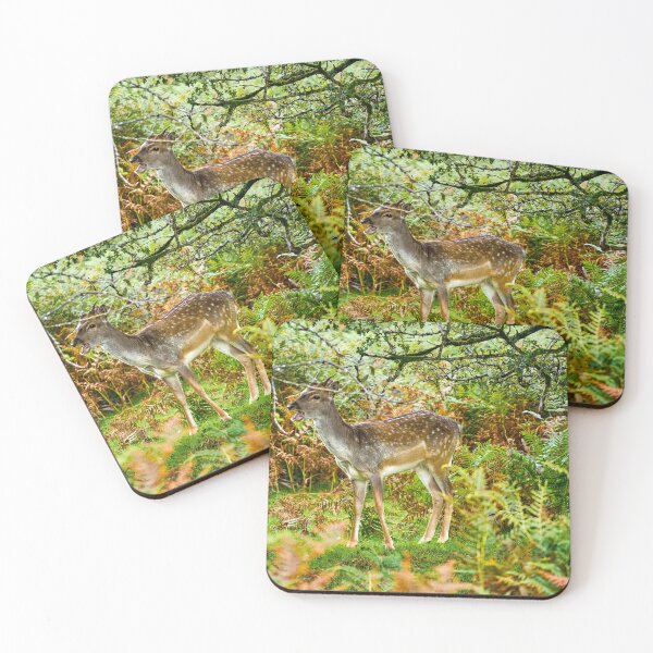 Item preview, Fallow Deer, Dartmoor designed and sold by VnGphoto.