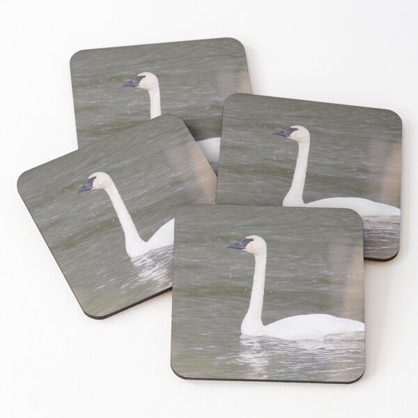 Item preview, Trumpeter Swan designed and sold by LaurenTucker.