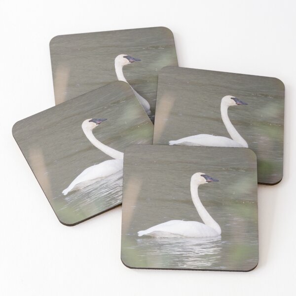 Item preview, Trumpeter Swan designed and sold by LaurenTucker.