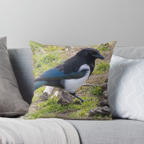 Item preview, Black Billed Magpie designed and sold by LaurenTucker.