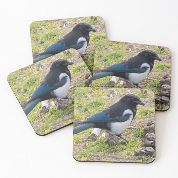 Item preview, Black Billed Magpie designed and sold by LaurenTucker.