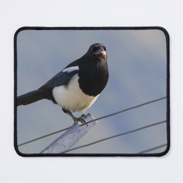 Item preview, Black Billed Magpie designed and sold by LaurenTucker.