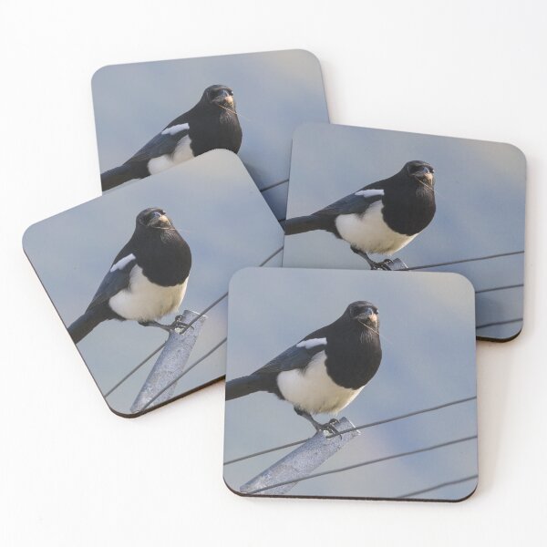 Item preview, Black Billed Magpie designed and sold by LaurenTucker.