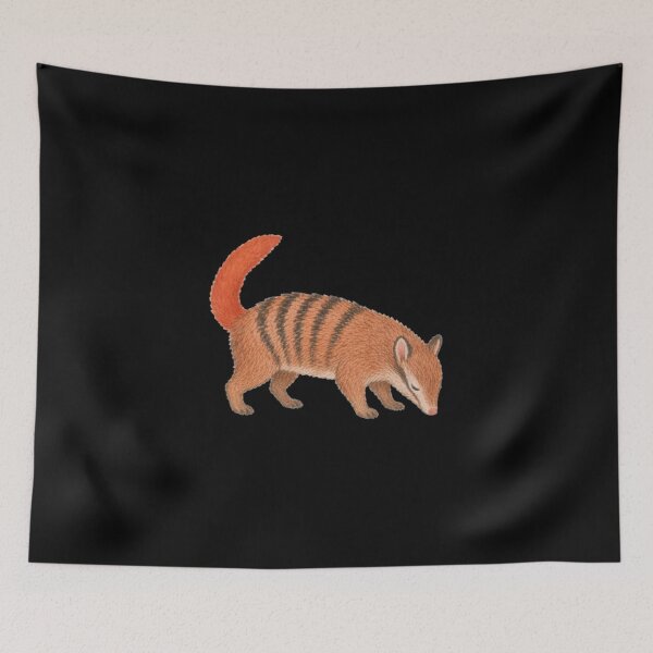 Item preview, Wild Australian Animal Numbat Kids Nursery Illustration designed and sold by bosamji.