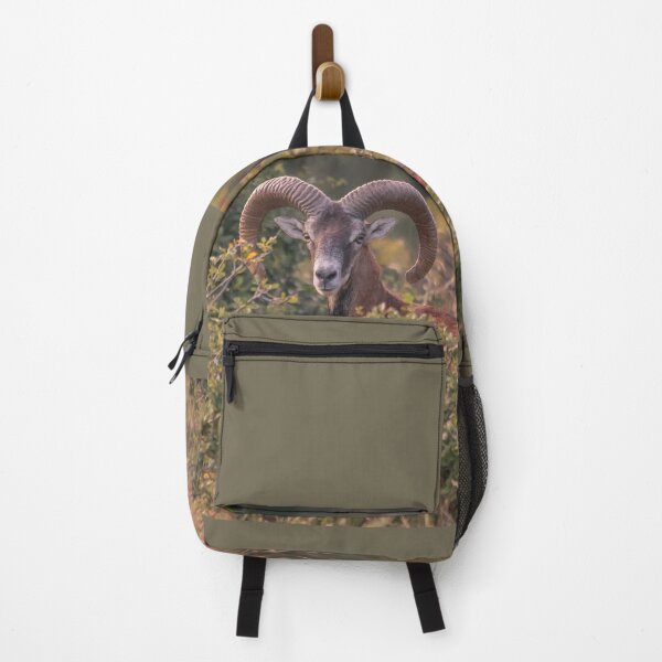 Item preview, Mouflon Ram in Autumn Habitat designed and sold by gabormedve.