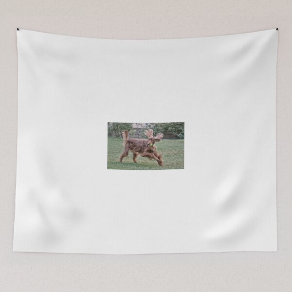 Item preview, Still Crazy After All These Years designed and sold by Ann J. Sagel.