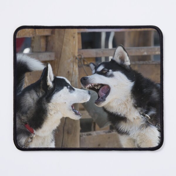 Item preview, Siberian Husky designed and sold by LaurenTucker.