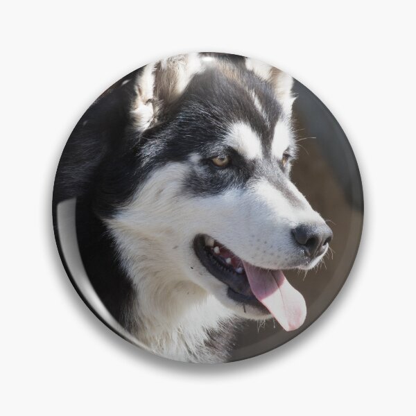 Item preview, Siberian Husky designed and sold by LaurenTucker.