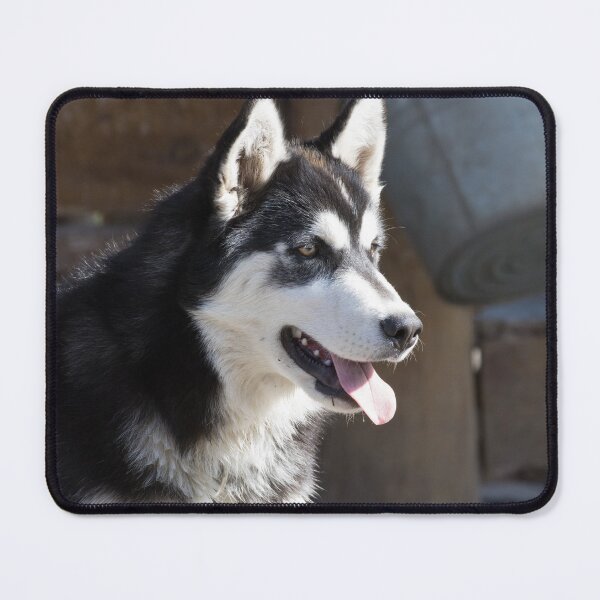 Item preview, Siberian Husky designed and sold by LaurenTucker.