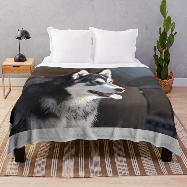 Artikelvorschau, Sibirischer Husky entworfen und verkauft von LaurenTucker.