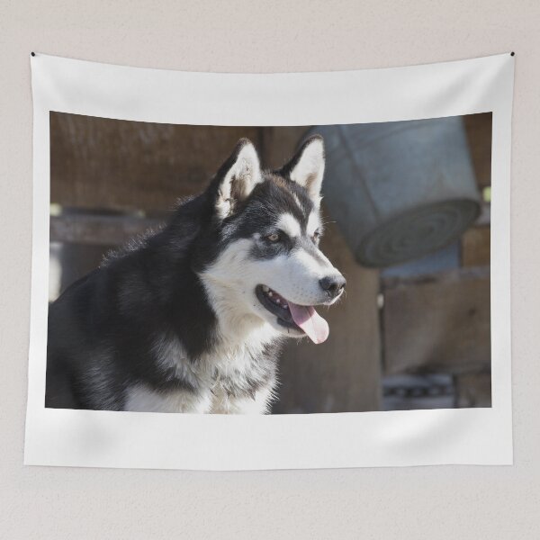Item preview, Siberian Husky designed and sold by LaurenTucker.