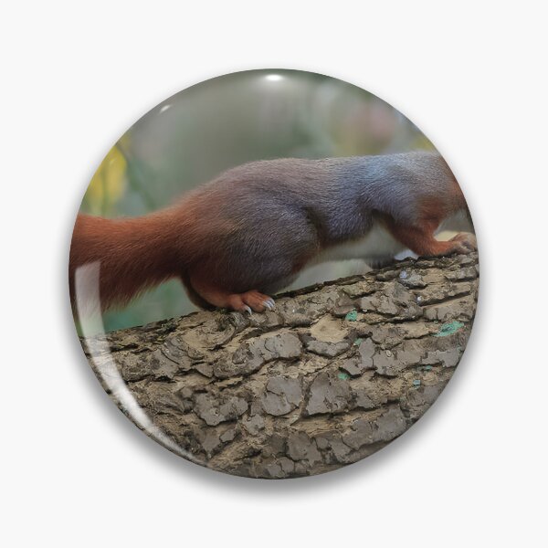 Item preview, Red Squirrel Wildlife Nature Animal Lover designed and sold by imolanita.
