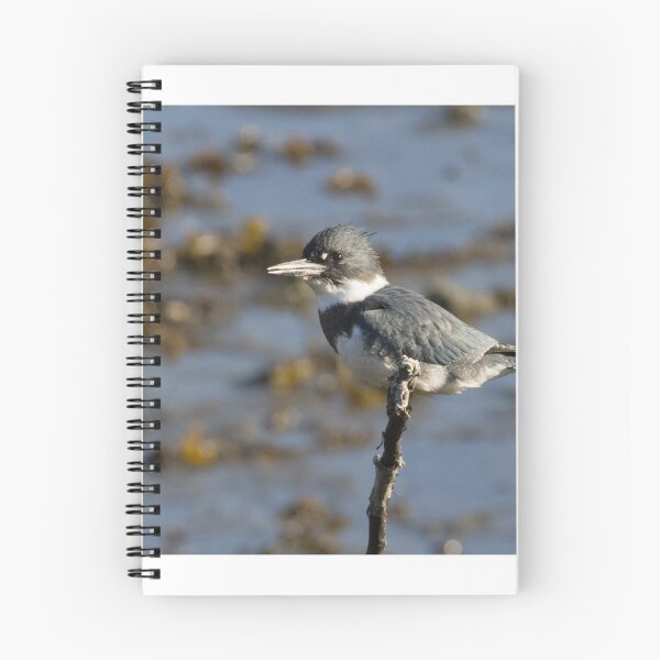 Item preview, Belted Kingfisher designed and sold by LaurenTucker.