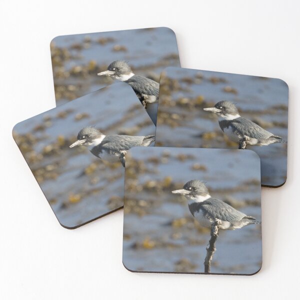 Item preview, Belted Kingfisher designed and sold by LaurenTucker.