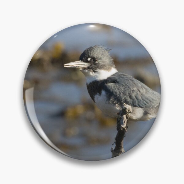 Item preview, Belted Kingfisher designed and sold by LaurenTucker.