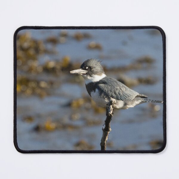 Item preview, Belted Kingfisher designed and sold by LaurenTucker.
