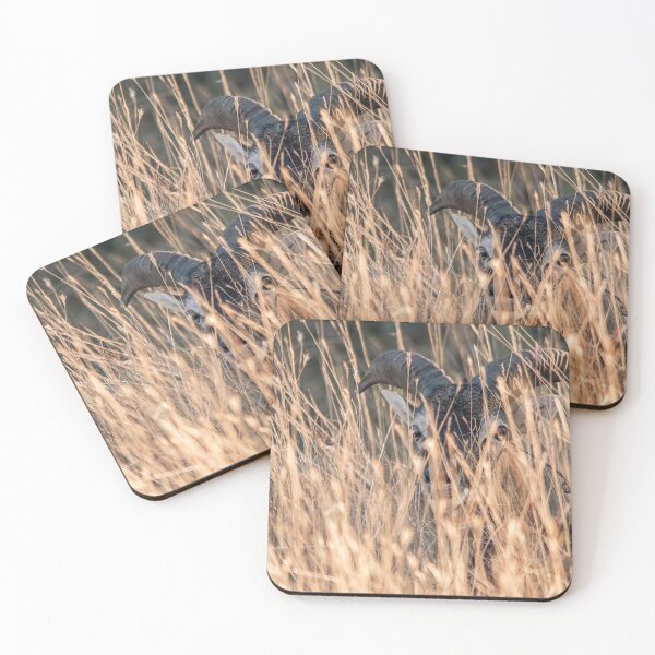 Item preview, Mouflon Hidden in Golden Grass designed and sold by Medve Photography & Design.