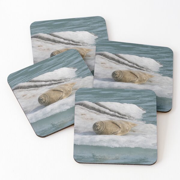 Item preview, Harbor Seal designed and sold by LaurenTucker.