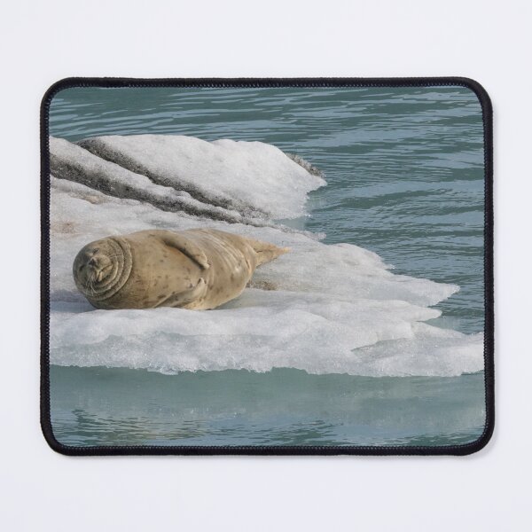 Item preview, Harbor Seal designed and sold by LaurenTucker.
