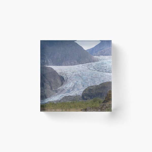 Aperçu de l'œuvre Baie des Glaciers, Alaska créée et vendue par LaurenTucker.