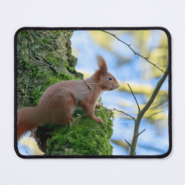 Item preview, Red Squirrel Wildlife Nature Enthusiast designed and sold by imolanita.