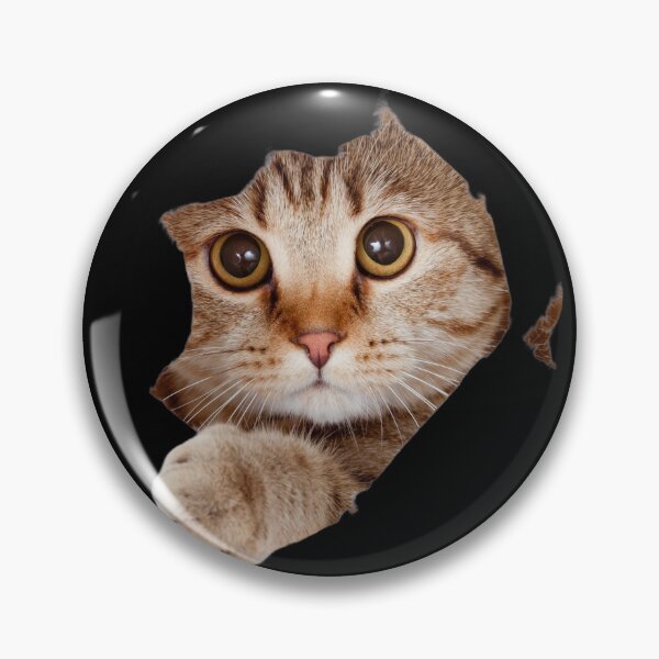 Item preview, Funny Peekaboo Cat Ripping Through Paper 3D Art designed and sold by Azmatdesigner.