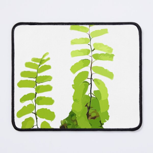 Item preview, Vector illustration of green fern leave. designed and sold by MiMee4451.