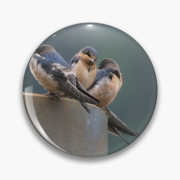Item preview, Barn Swallow designed and sold by LaurenTucker.