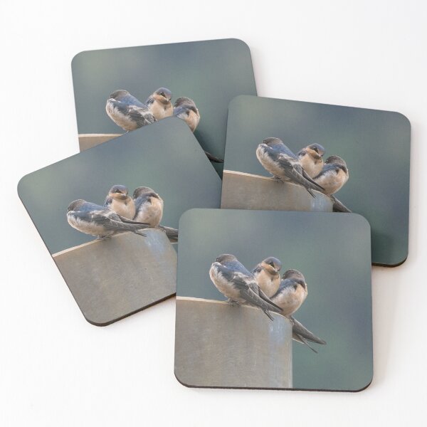 Item preview, Barn Swallow designed and sold by LaurenTucker.
