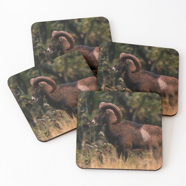 Item preview, Mouflon Ram at the Forest Edge designed and sold by gabormedve.