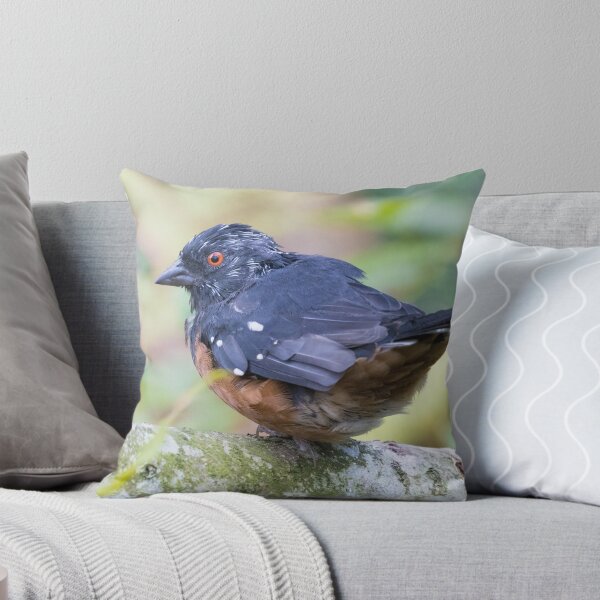 Item preview, Spotted Towhee designed and sold by LaurenTucker.