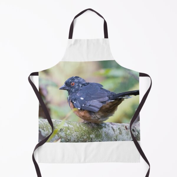 Item preview, Spotted Towhee designed and sold by LaurenTucker.