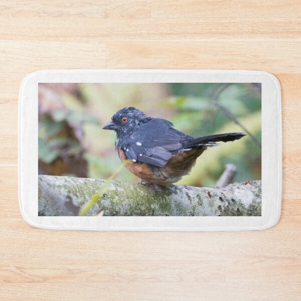 Item preview, Spotted Towhee designed and sold by LaurenTucker.