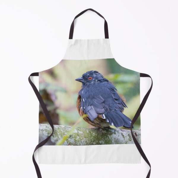 Item preview, Spotted Towhee designed and sold by LaurenTucker.